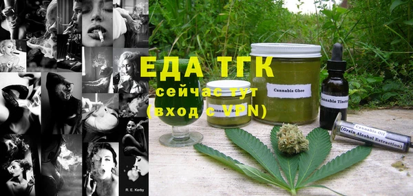 шишки Хадыженск