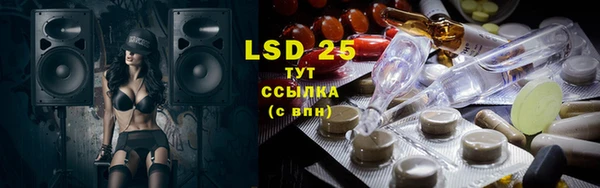 шишки Хадыженск
