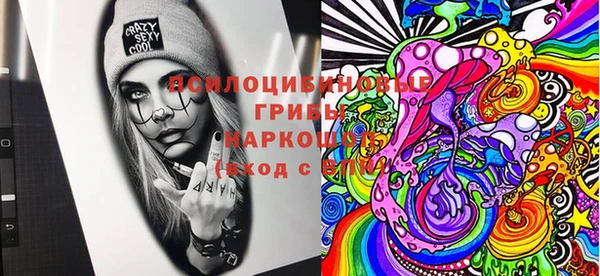 шишки Хадыженск