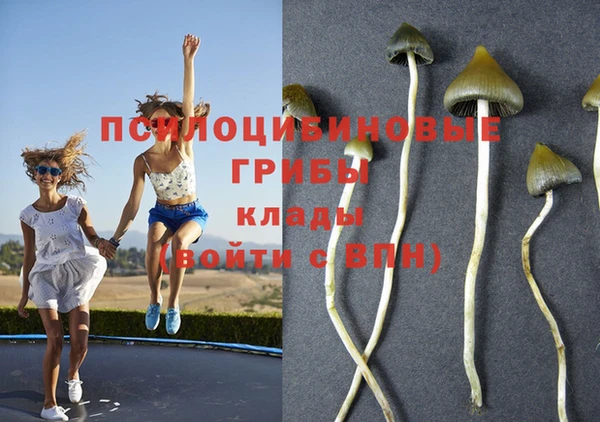 синтетический гашиш Фурманов