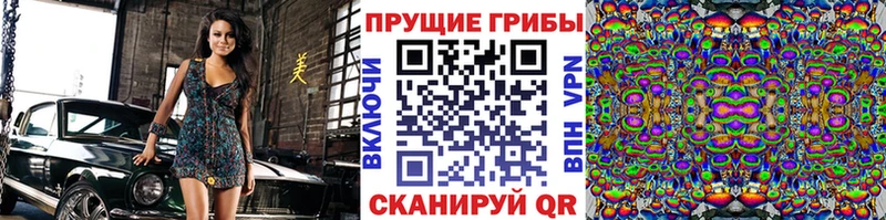цена наркотик  Богучар  Псилоцибиновые грибы ЛСД 